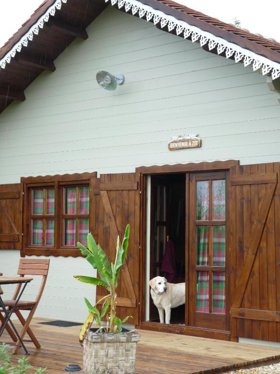 Le Trot'In Chair Bed and Breakfast Martigny-le-Comte Rum bild