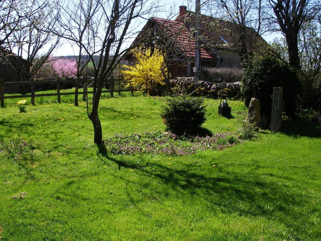 Le Trot'In Chair Bed and Breakfast Martigny-le-Comte Exteriör bild