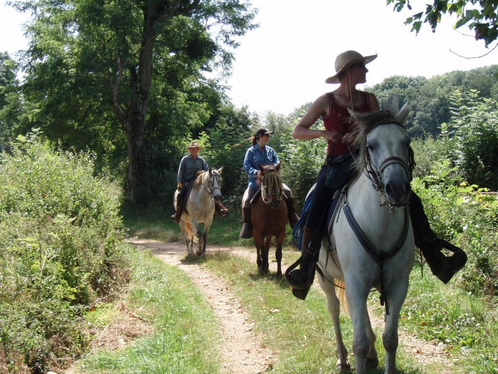 Le Trot'In Chair Bed and Breakfast Martigny-le-Comte Exteriör bild